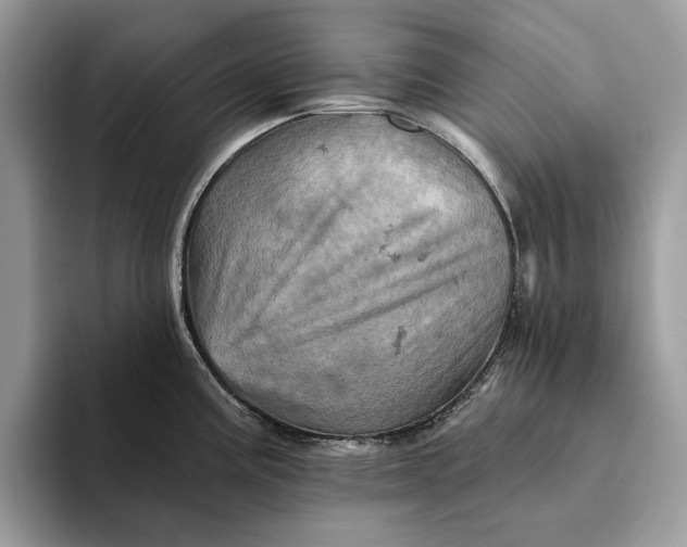 X0000093171195200710171222