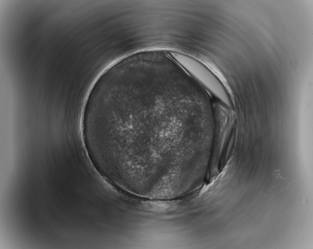 X0000093171197200710171222