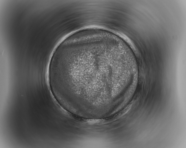 X0000093171199200710171222