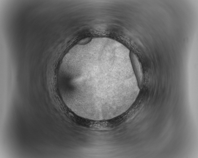 X0000093171201200710171221