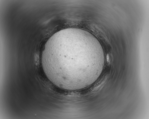 X0000093171203200710171221