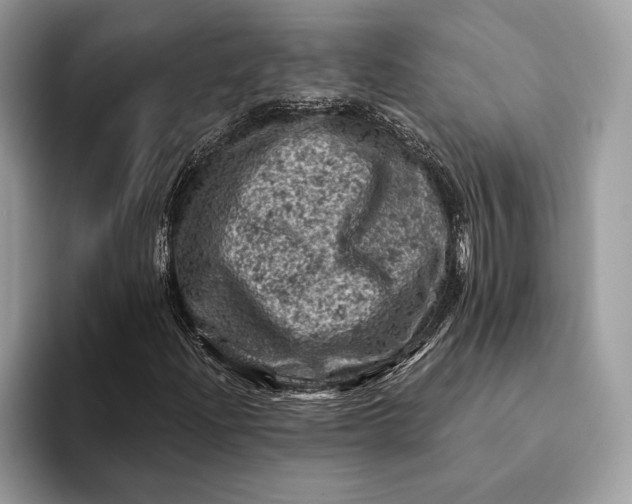 X0000093171204200710171221
