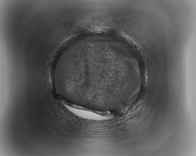 X0000093171206200710171221