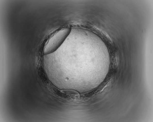 X0000093171207200710171222