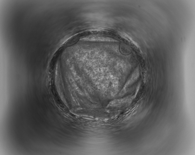 X0000093171208200710171222