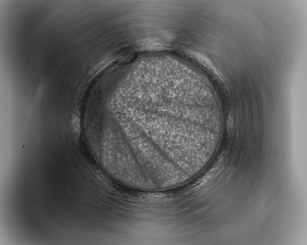 X0000093171209200710171222