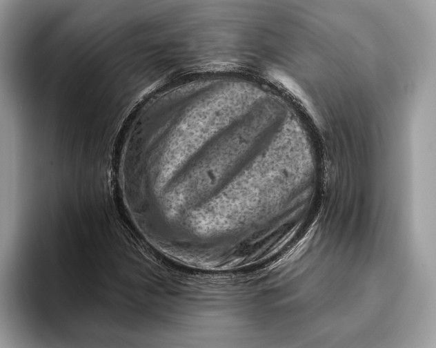 X0000093171210200710171222