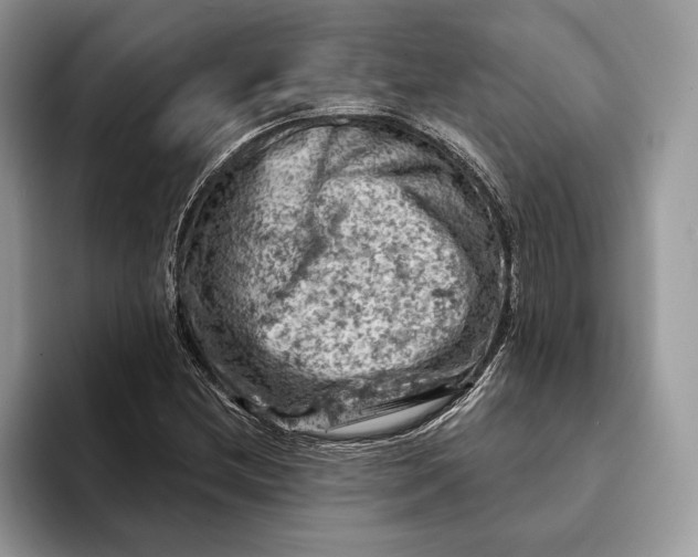 X0000093171212200710171222