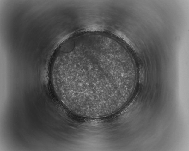 X0000093171213200710171222