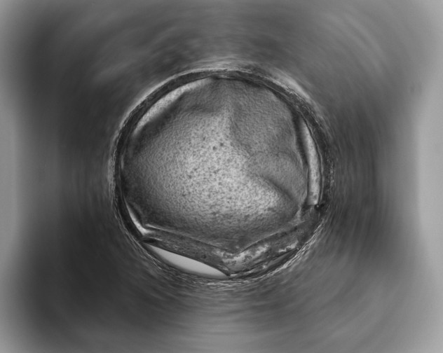X0000093171216200710171222