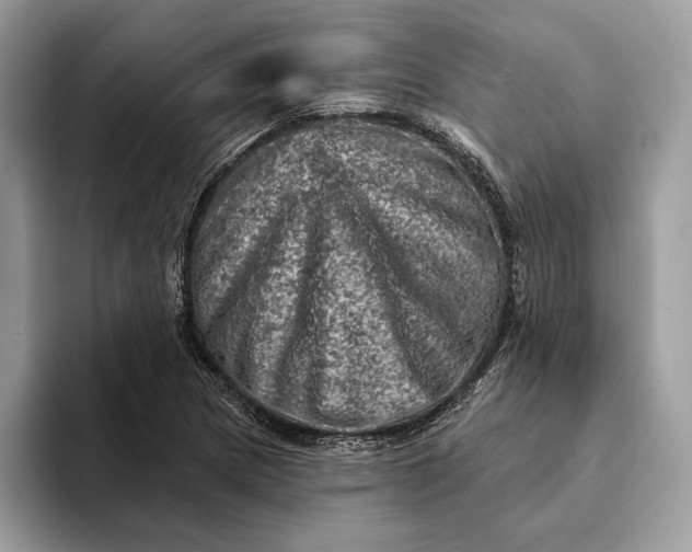 X0000093171217200710171222