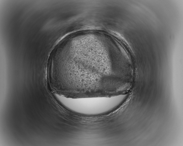 X0000093171220200710171222