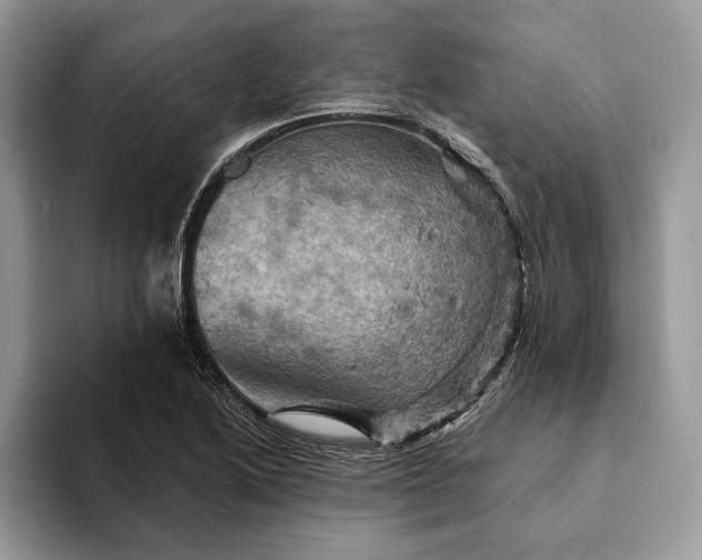 X0000093171222200710171222