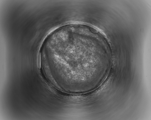 X0000093171223200710171222