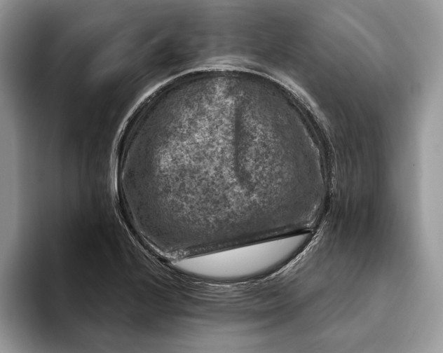 X0000093171224200710171222