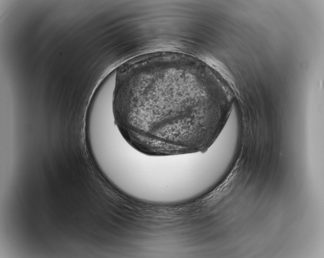 X0000093171226200710171222