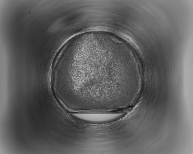 X0000093171228200710171222