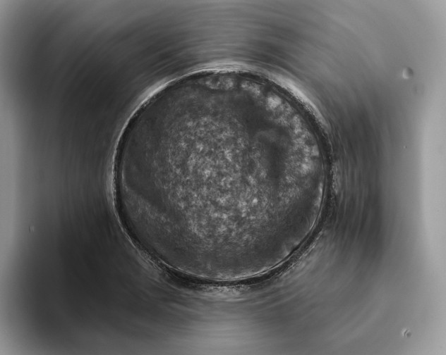 X0000093171229200710171222
