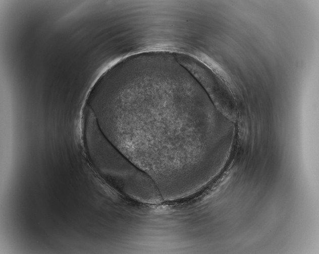 X0000093171230200710171222