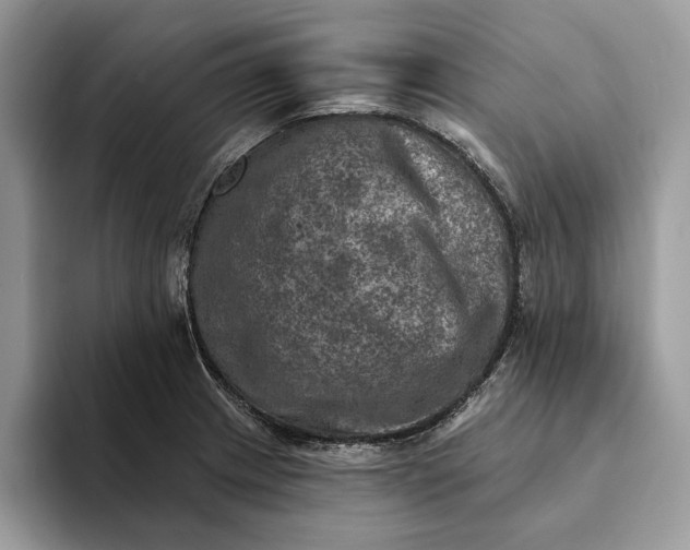 X0000093171233200710171222
