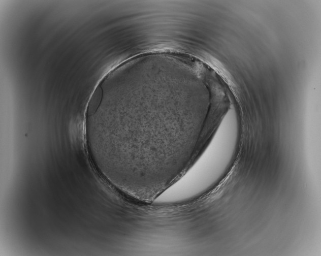 X0000093171234200710171222