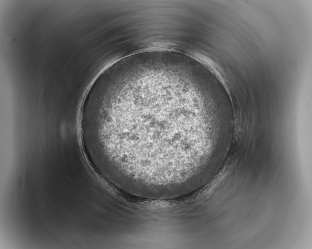 X0000093171235200710171222