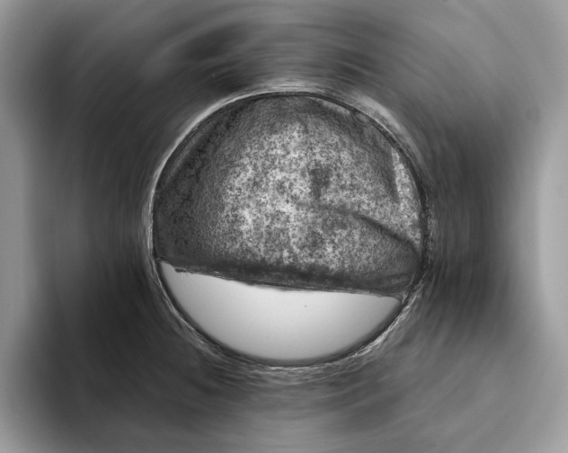 X0000093171236200710171222