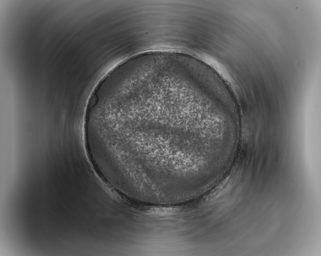 X0000093171237200710171222