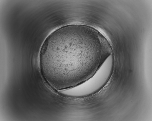 X0000093171238200710171222