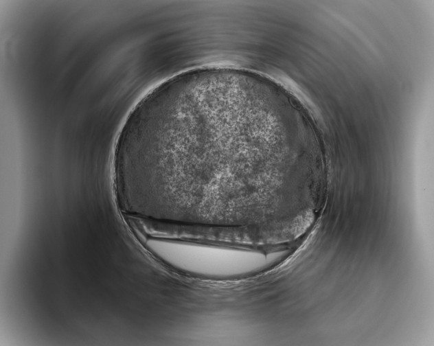 X0000093171240200710171222