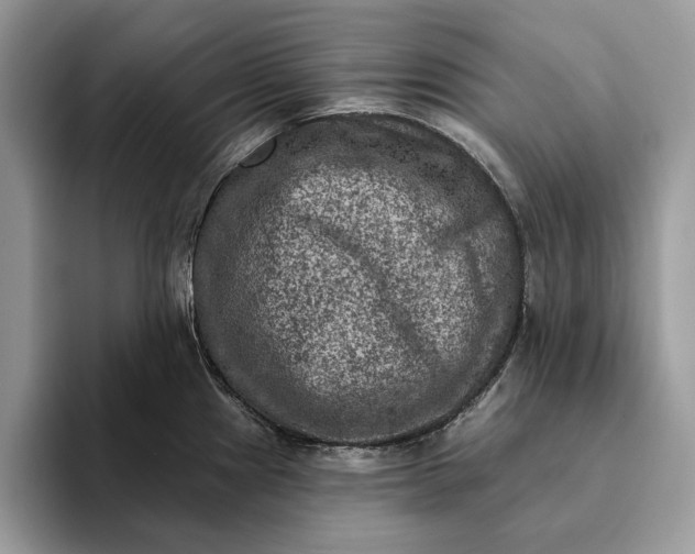 X0000093171241200710171222