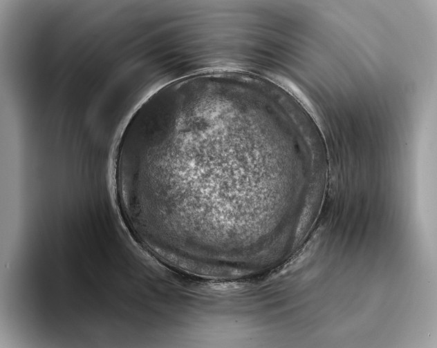 X0000093171243200710171222