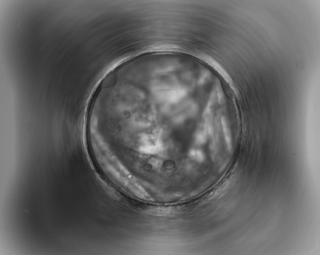 X0000093171245200710171222