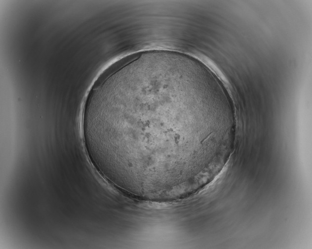 X0000093171246200710171222