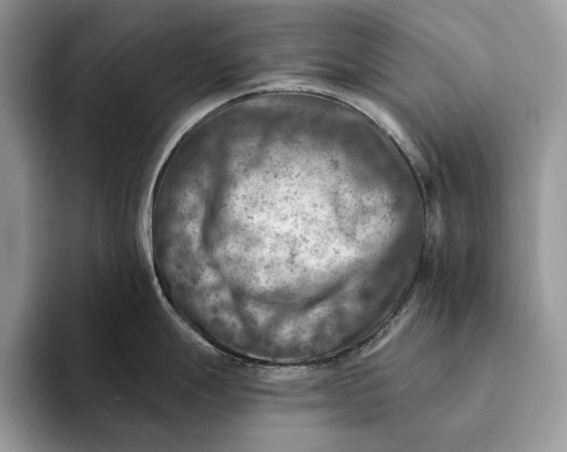 X0000093171247200710171222