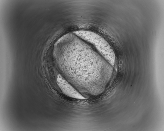 X0000093171249200710171221