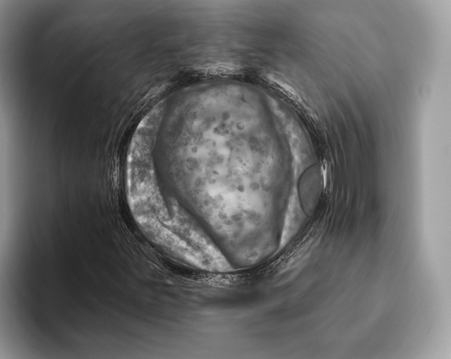 X0000093171251200710171221