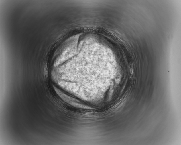X0000093171252200710171221
