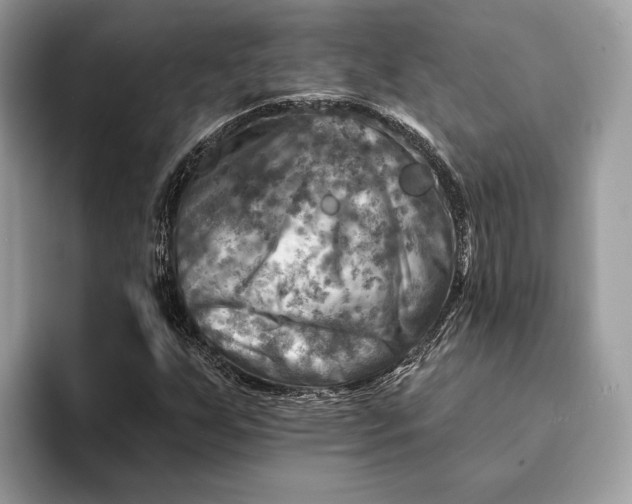 X0000093171255200710171221