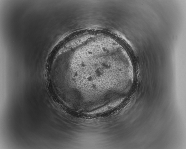 X0000093171256200710171221