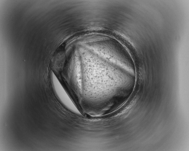 X0000093171257200710171221