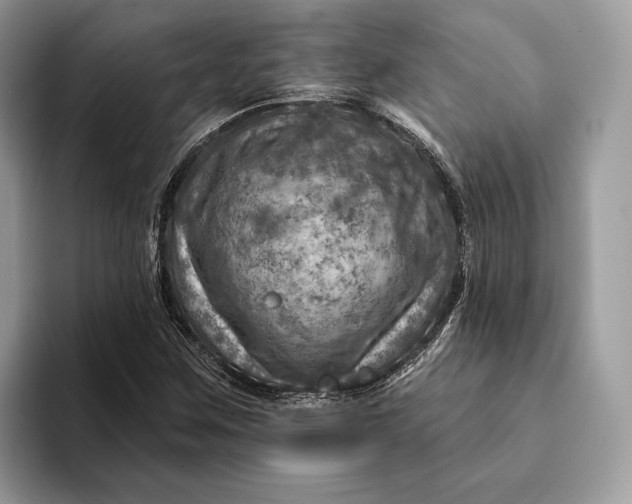 X0000093171259200710171221