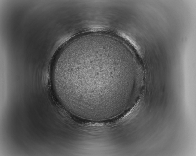 X0000093171261200710171221