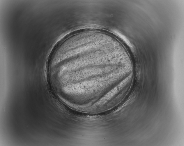 X0000093171264200710171221