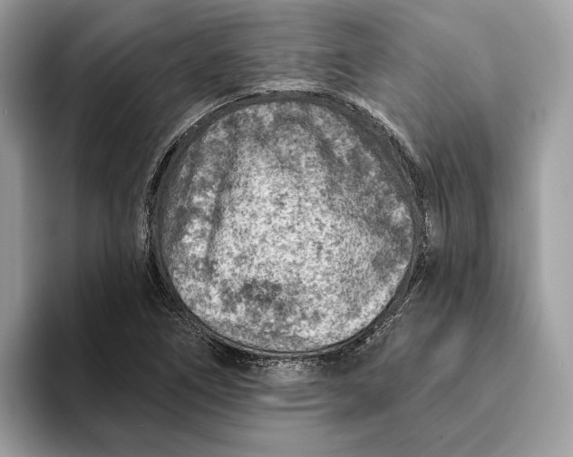 X0000093171266200710171221
