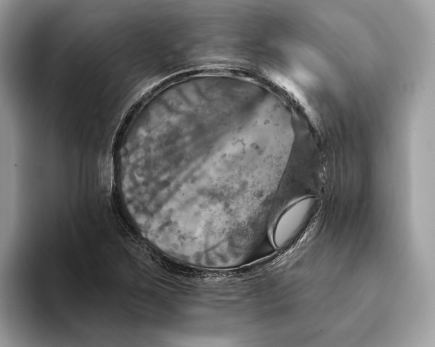 X0000093171267200710171221