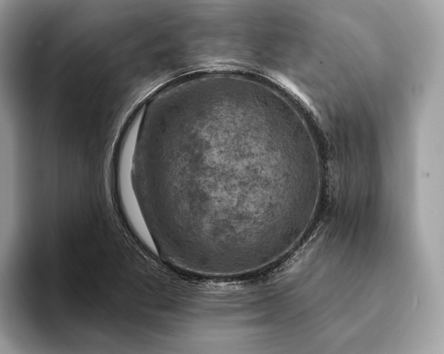 X0000093171269200710171221