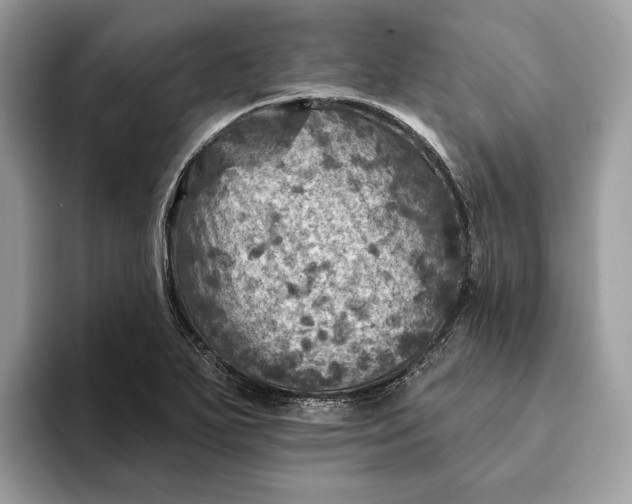 X0000093171271200710171221