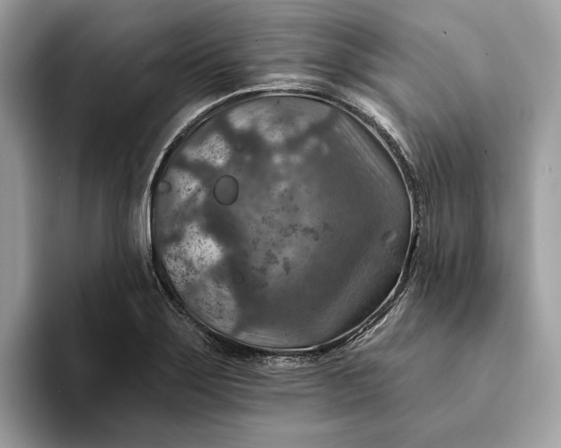 X0000093171275200710171221