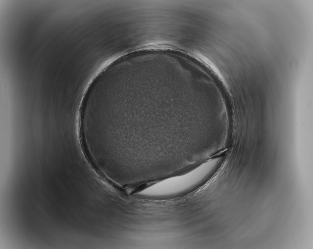 X0000093171277200710171221
